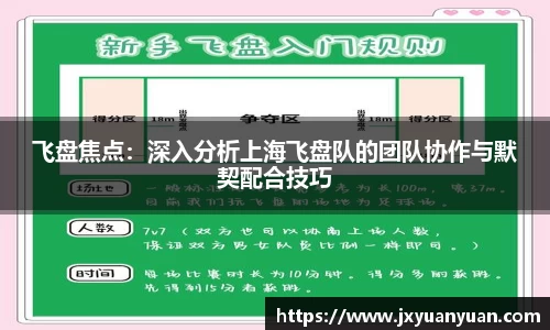 飞盘焦点：深入分析上海飞盘队的团队协作与默契配合技巧